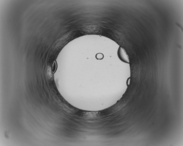 X0000102370089200808221749