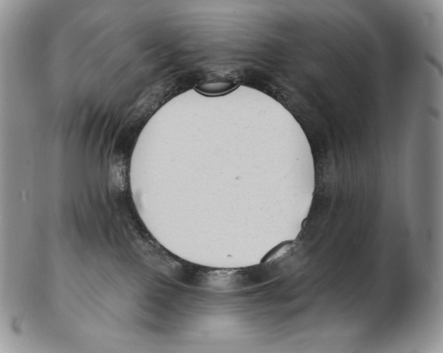 X0000102370090200808221749