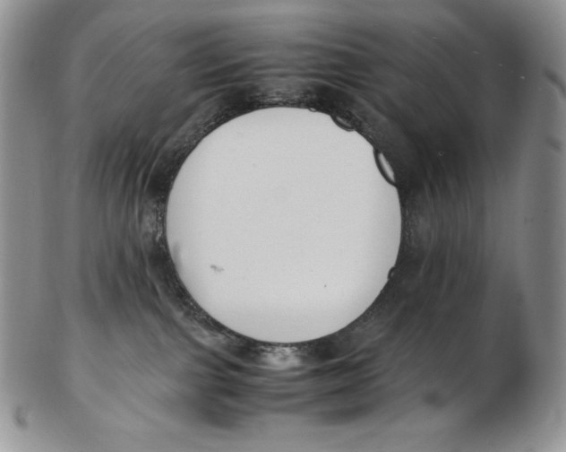 X0000102370091200808221749