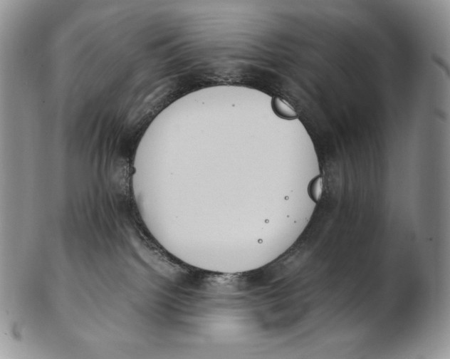 X0000102370092200808221749