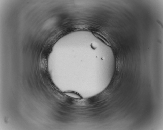 X0000102370093200808221749