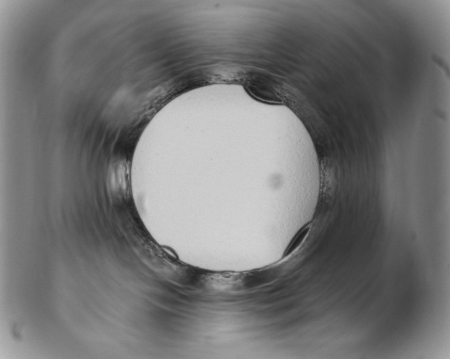 X0000102370094200808221749