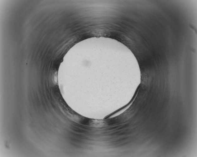 X0000102370095200808221749