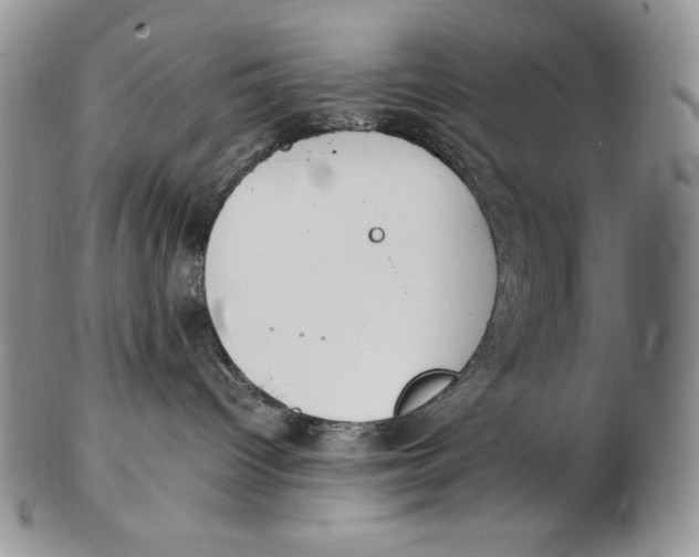 X0000102370096200808221749