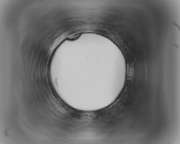 X0000102370099200808221748