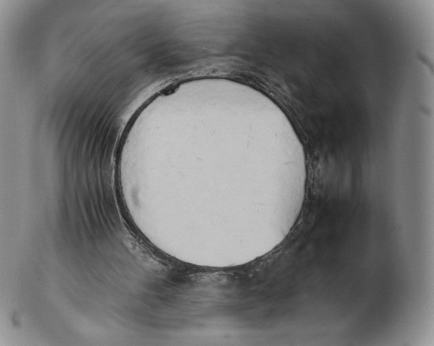 X0000102370100200808221748