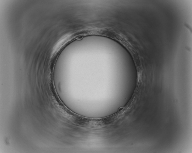 X0000102370101200808221748