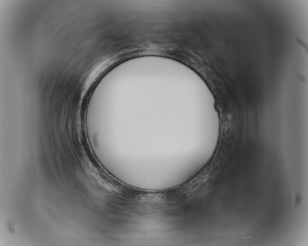 X0000102370102200808221748