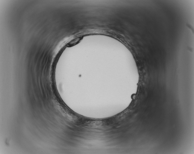 X0000102370104200808221748