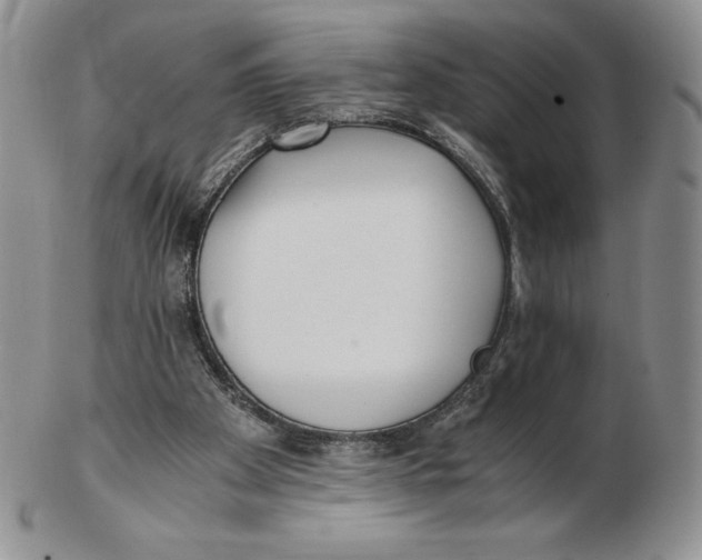 X0000102370105200808221748