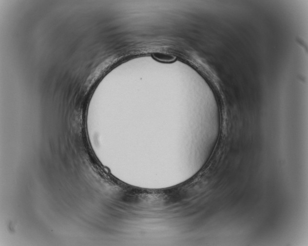 X0000102370107200808221748