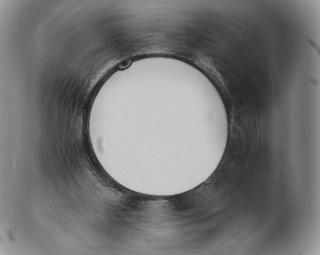 X0000102370108200808221748