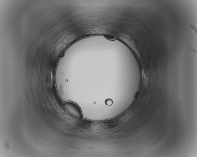 X0000102370109200808221748