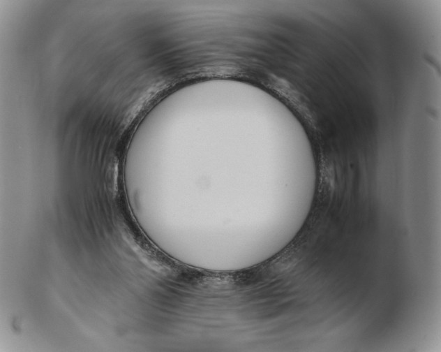 X0000102370110200808221748