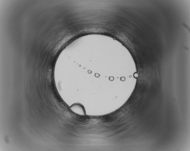 X0000102370111200808221748