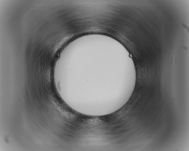 X0000102370112200808221748