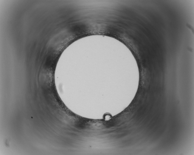 X0000102370113200808221748