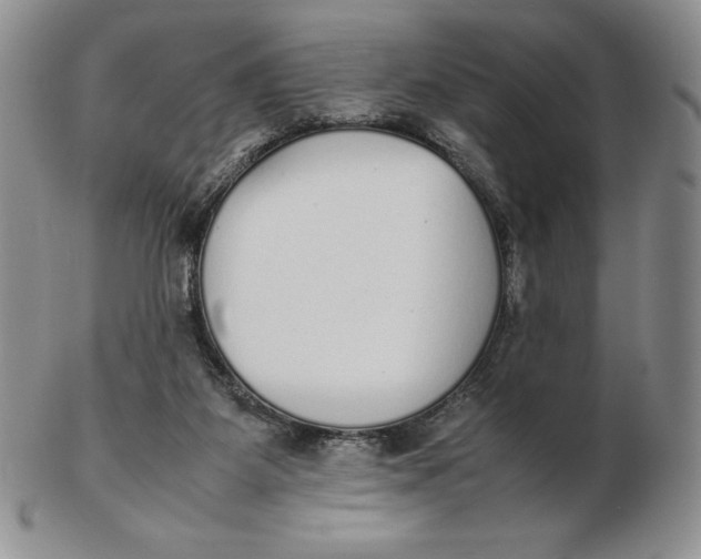 X0000102370115200808221748