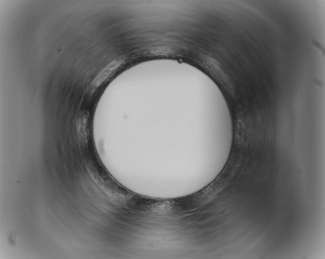 X0000102370116200808221748