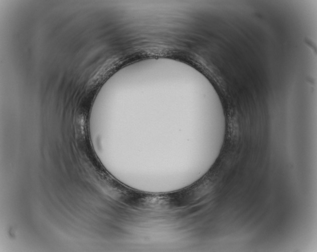 X0000102370117200808221748