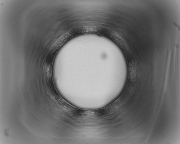 X0000102370123200808221748