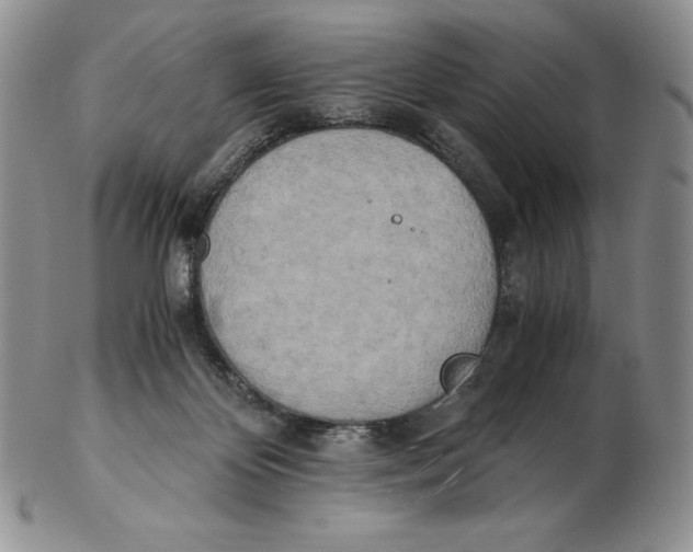 X0000102370124200808221748