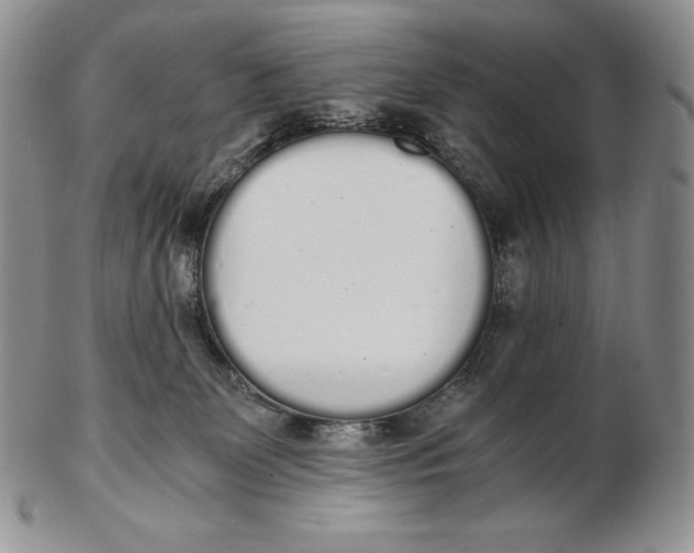 X0000102370131200808221748