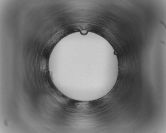 X0000102370132200808221748