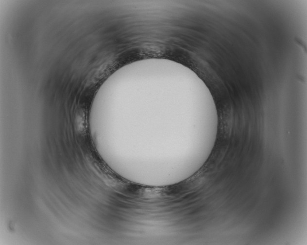 X0000102370134200808221748