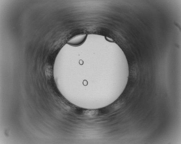 X0000102370135200808221748