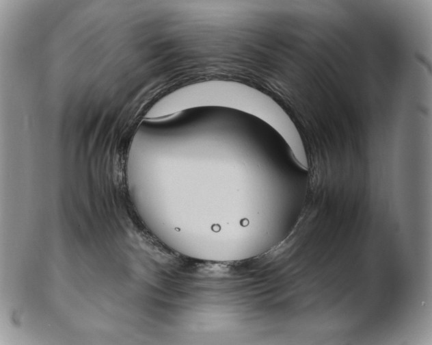 X0000102370140200808221747