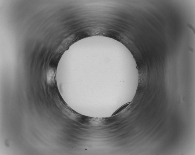 X0000102370142200808221747