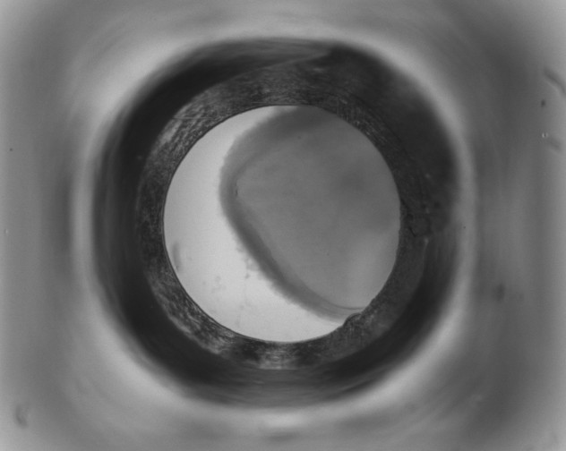 X0000102370143200808221747