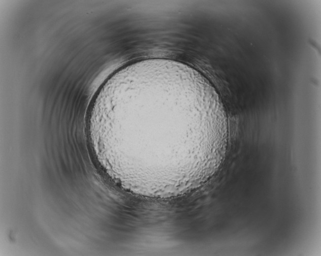 X0000102370147200808221747