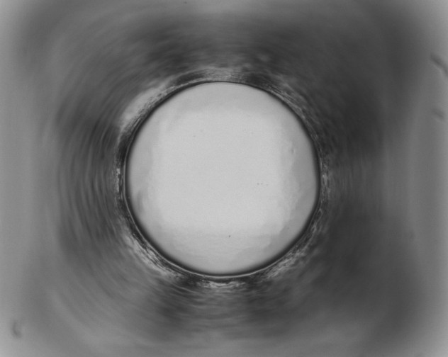 X0000102370149200808221747