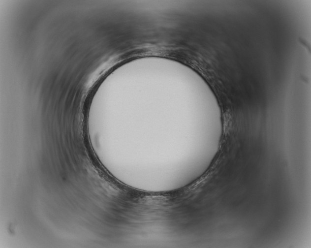 X0000102370150200808221747