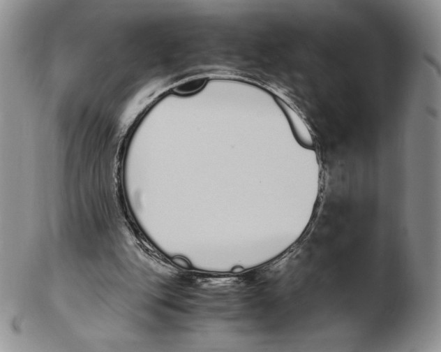 X0000102370151200808221747