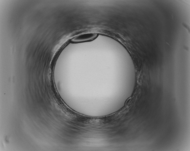 X0000102370152200808221747