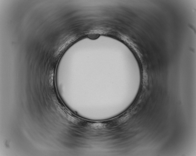 X0000102370153200808221747