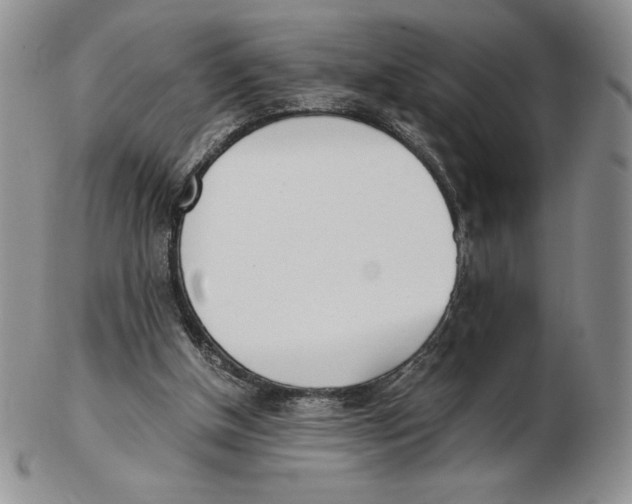 X0000102370154200808221747