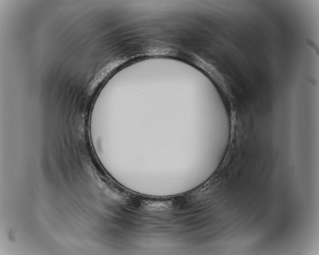 X0000102370155200808221747