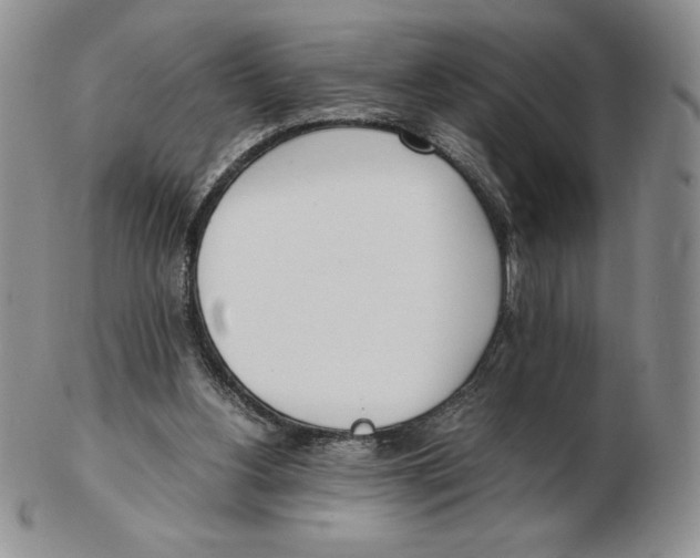 X0000102370156200808221747