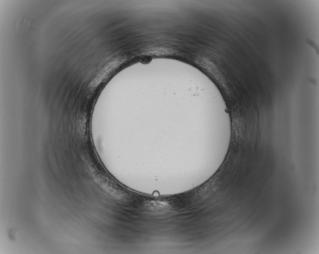 X0000102370159200808221747