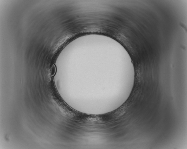 X0000102370160200808221747