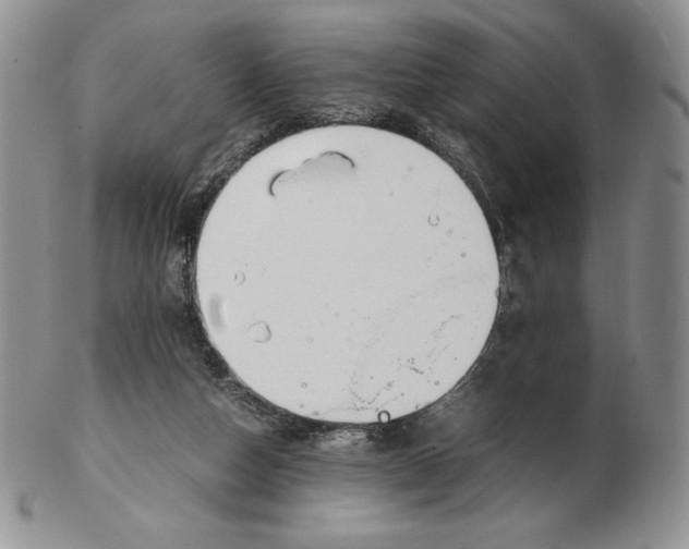 X0000102370162200808221747