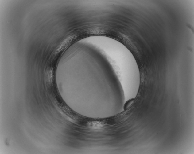 X0000102370163200808221747