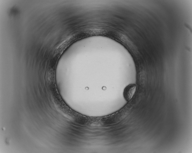 X0000102370165200808221747