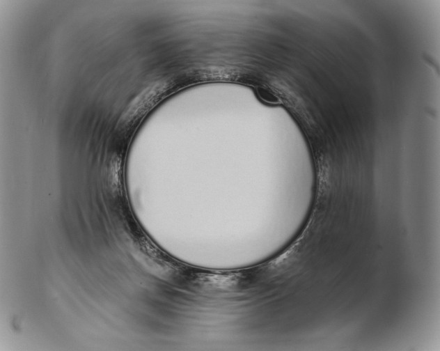 X0000102370166200808221747