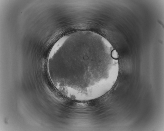 X0000102370167200808221747