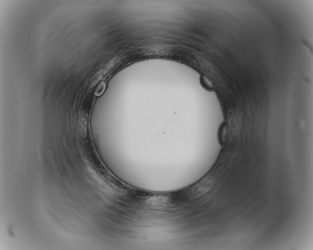 X0000102370168200808221747